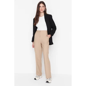 Trendyol Mink High Waist Woven Trousers