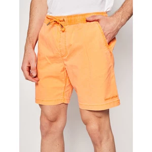 Men's shorts QUIKSILVER TAXER 17