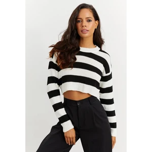 Cool & Sexy Women's Black and White Striped Short Sweater