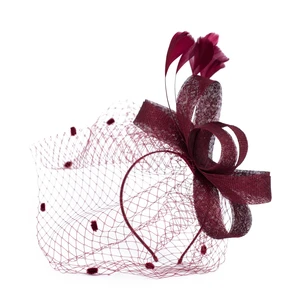 Art Of Polo Woman's Fascinator cz22171