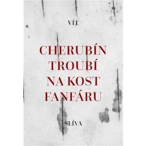 Cherubín troubí na kost fanfáru - Vít Slíva