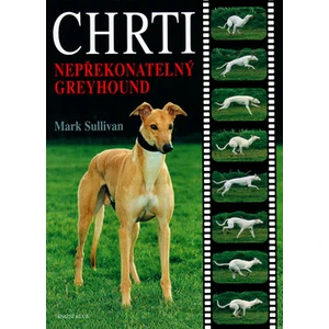 Chrti -- Nepřekonatelný Greyhound - Sullivan Mark S.