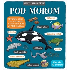 Malý prieskumník Pod morom