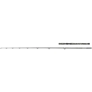 Wft prút big cat boat cat 2,40 m 150-550 g