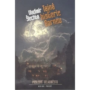 Tajná historie Bornnu - Vladimír Šlechta