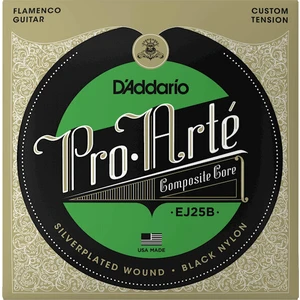 D'Addario EJ25B