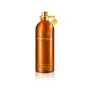 Montale Nepal Aoud - EDP 100 ml