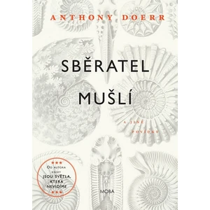 Sběratel mušlí - Doerr Anthony