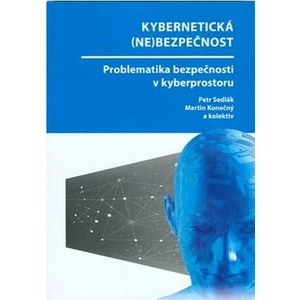 Kybernetická (ne)bezpečnost. Problematika bezpečnosti v kyberprostoru - Petr Sedlák, Martin Konečný