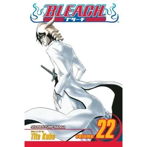 Bleach 22