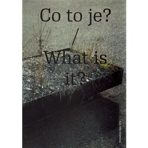 Co to je? / What is it