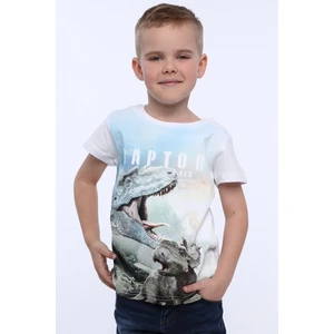 Boy's T-shirt with dinosaur