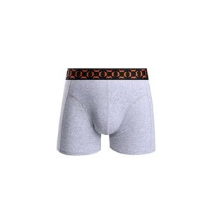 Boxers VUCH Elliot