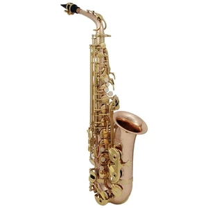 Roy Benson AS-202G Alto saxophone
