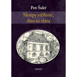 Sloupy stříbrné, dno ze zlata - Petr Šuleř