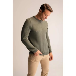 DEFACTO Slim Fit Crew Neck Pullover