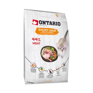 Ontario Cat Shorthair 6,5 kg