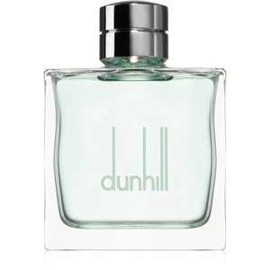 Dunhill Fresh toaletní voda pro muže 100 ml