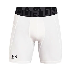Pánske kraťasy Under Armour GRY