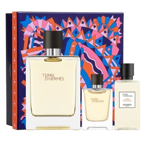 Hermes Terre D` Hermes - EDT 100 ml + voda po holení 40 ml + EDT 12,5 ml