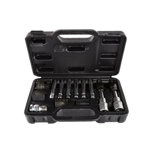 Sada bitů hex a hvězdy 1/2” pro alternátor, 13ks