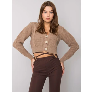 RUE PARIS sweater made of dark beige sweater