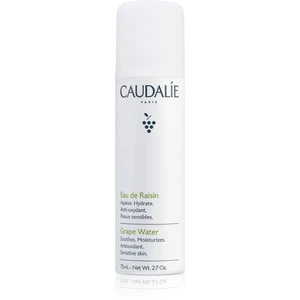 Caudalie Cleaners & Toners osvěžující voda ve spreji 75 ml