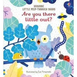 Are you there little Owl? - Sam Taplin