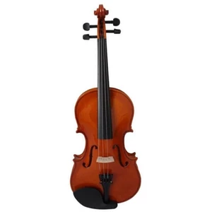 Pasadena SGV 015 3/4 Violino Acustico