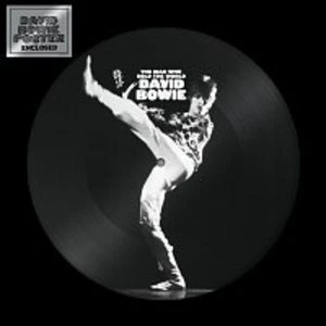 David Bowie – The Man Who Sold the World (Picture Vinyl) LP