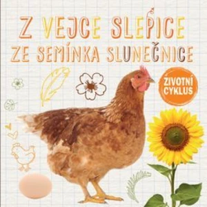 Z vejce slepice, ze semínka slunečnice - Životní cyklus