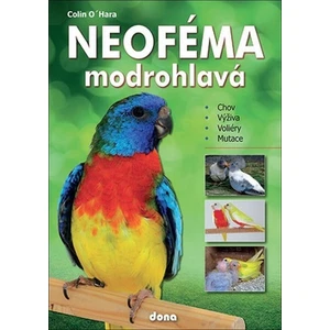 Neoféma modrohlavá - O´Hara Colin