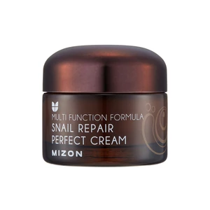 Mizon Pleťový krém s filtrátem hlemýždího sekretu 60% pro problematickou pleť (Snail Repair Perfect Cream) 50 ml