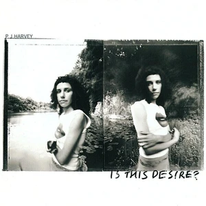 IS THIS DESIRE? - PJ HARVEY [Vinyl album]