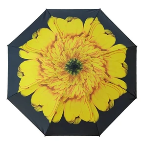 Blooming Brollies Dámský skládací deštník EDRFFSF