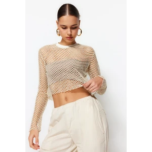 Trendyol Beige Lurex Mesh, Relaxed Cut, Crew Neck Crop Knitted Blouse