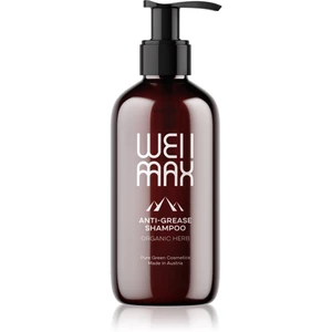 WellMax Šampon pro mastné vlasy bylinný šampon 250 ml