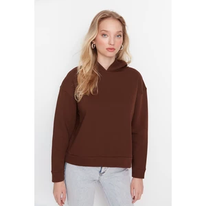 Trendyol Brown Regular Hooded Knitted Sweatshirt with Fleece Inside