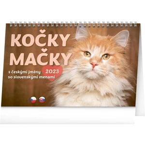 Presco Group Stolní kalendář Kočky – Mačky CZ/SK 2023