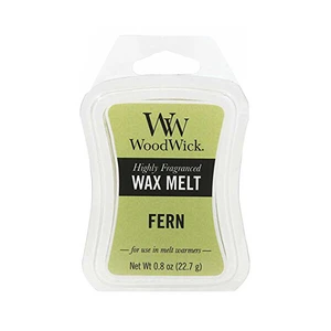 WoodWick Vonný vosk Fern 22,7 g