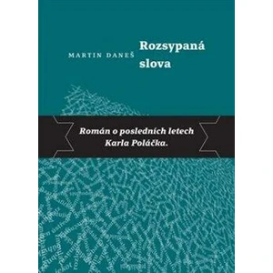 Rozsypaná slova - Martin Daneš