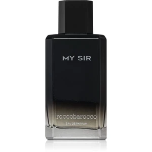 Roccobarocco My Sir parfémovaná voda pro muže 100 ml