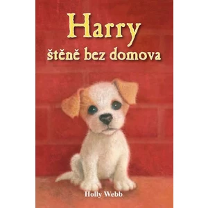 Harry štěně bez domova - Webb Holly