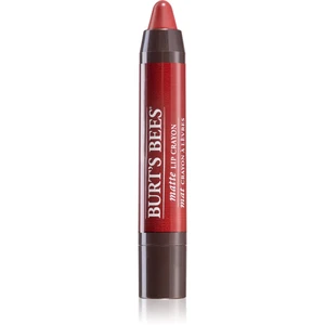 Burt’s Bees Lip Crayon rtěnka v tužce s matným efektem odstín 411 Redwood Forrest 3.1 g