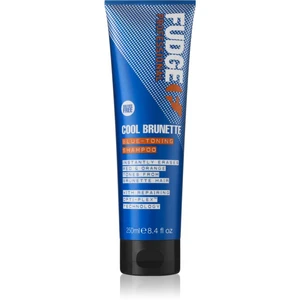 Fudge Care Cool Brunette šampón pre hnedé a tmavé odtiene vlasov 250 ml