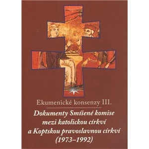 Ekumenické konsenzy III.