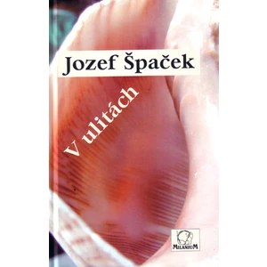 V ulitách - Špaček Jozef