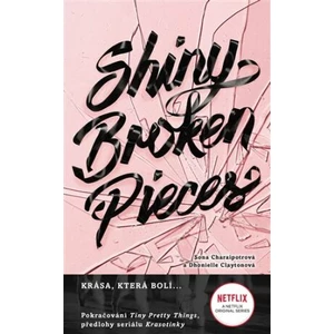 Shiny Broken Piece - Sona Charaipotra, Dhonielle Clayton