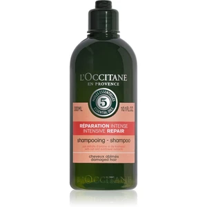 L’Occitane Aromachologie intenzivně regenerační šampon pro suché a poškozené vlasy 300 ml
