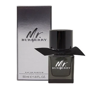 Burberry Mr. Burberry parfémovaná voda pro muže 50 ml